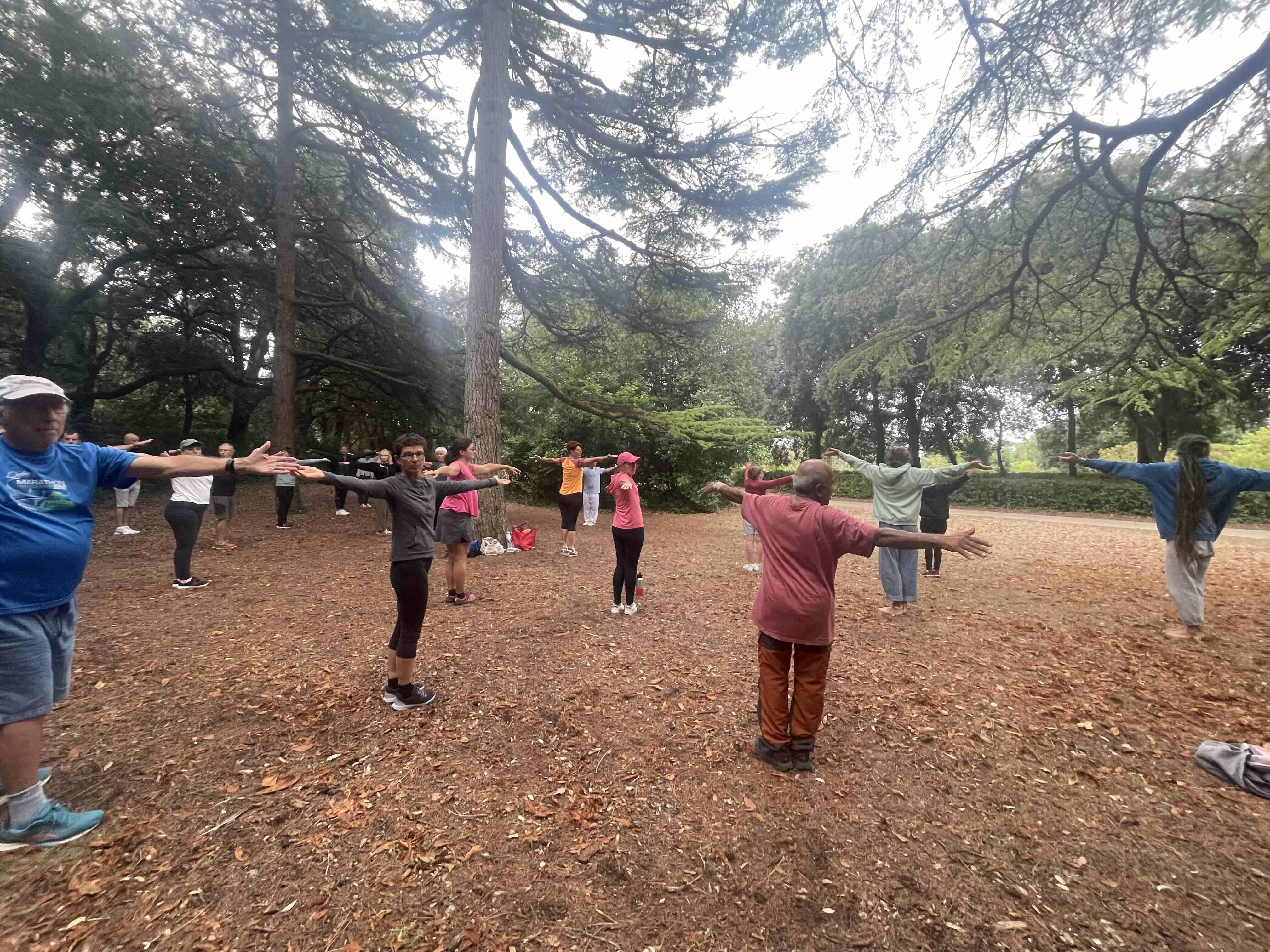 Qi gong 29 08 2026