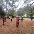 Qi gong 29 08 2026
