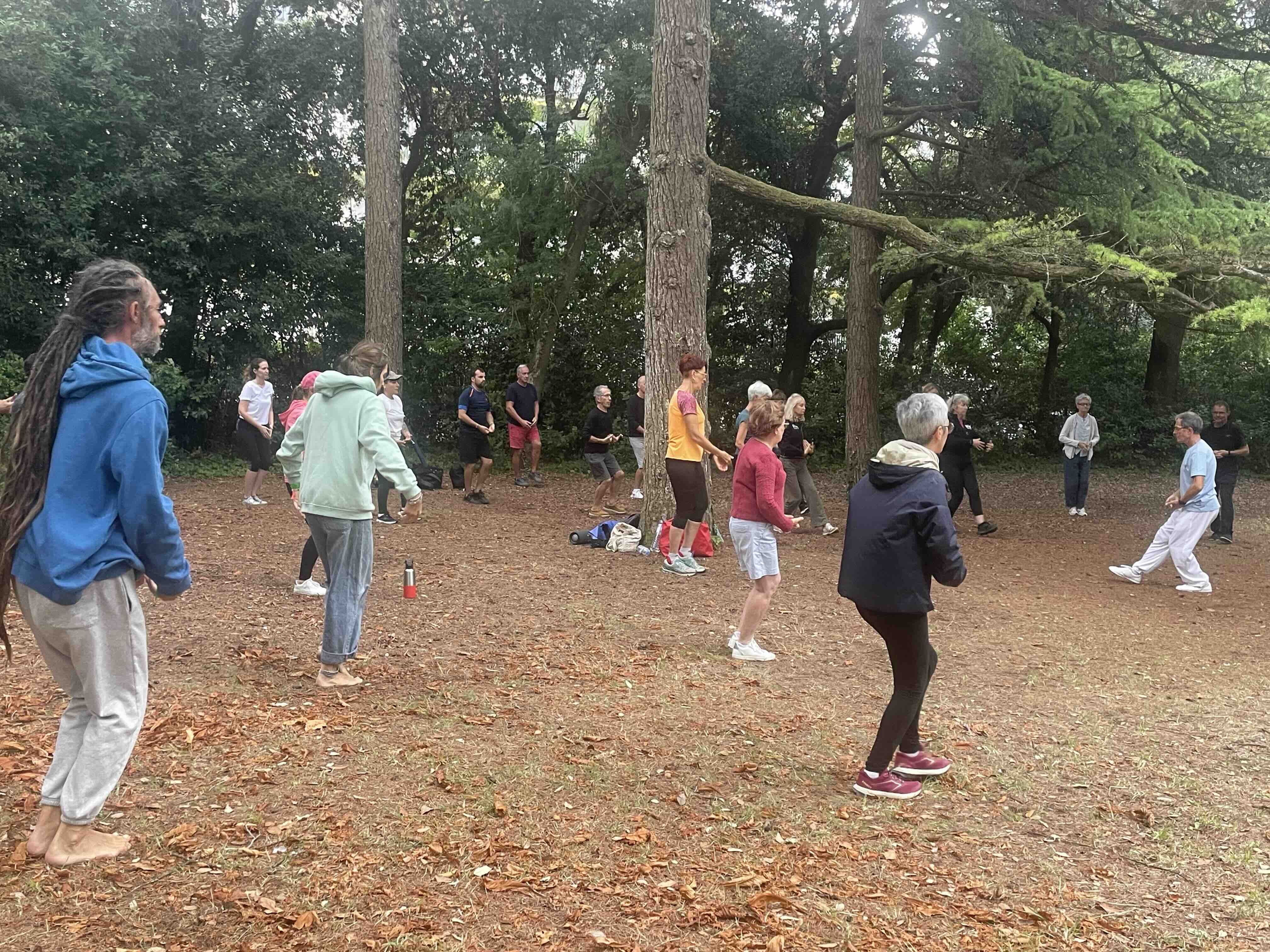 Qi gong 29 08 2026