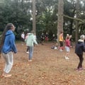 Qi gong 29 08 2026