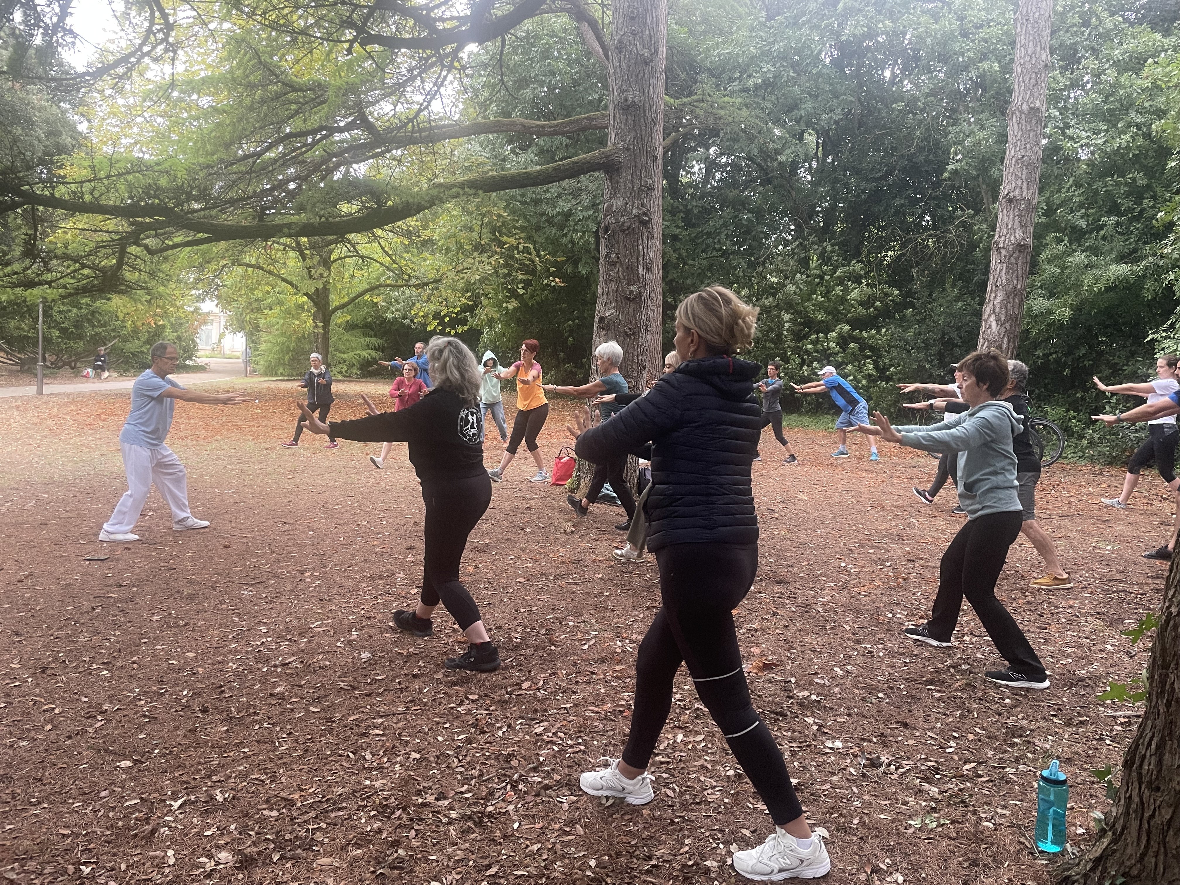 Qi gong 29 08 2026